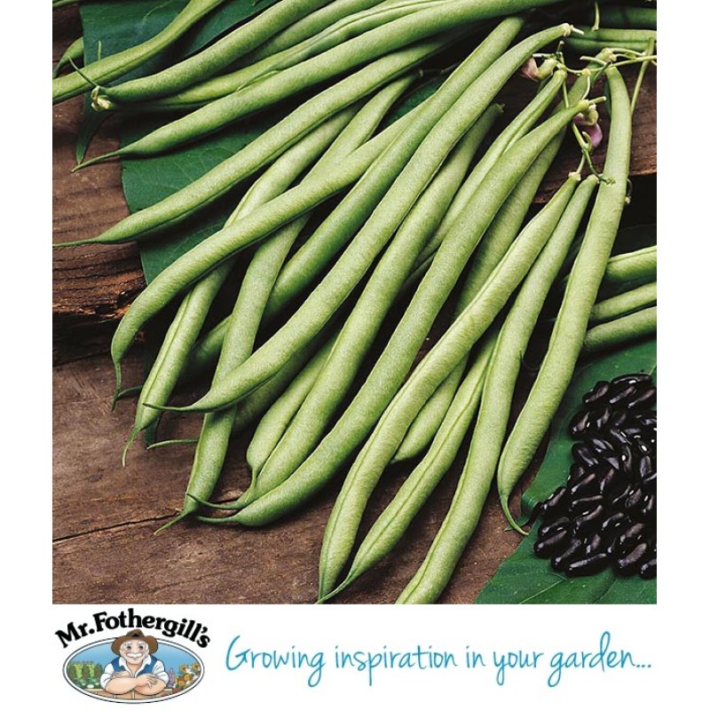 Climbing French Bean Cobra Holbury Hardware Stores