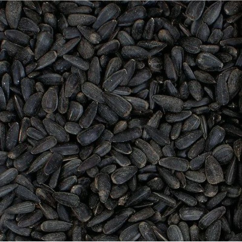 Sunflower Seeds Black 12.75Kg Holbury Hardware Stores